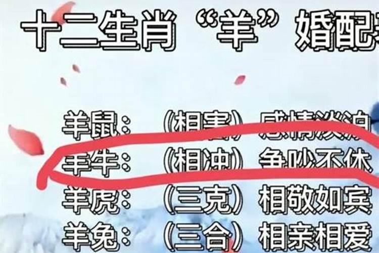 属羊和属鸡合婚吗？