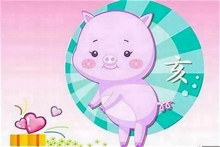 属牛男和属猪女合婚吗？
