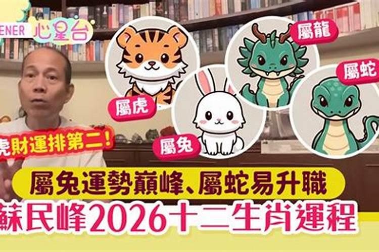 苏民峰2026年运程蛇