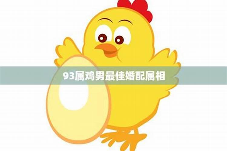 93鸡和哪个属相婚配？