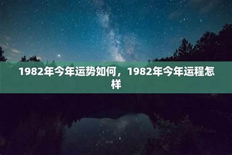 属狗的今年是什么运程？
