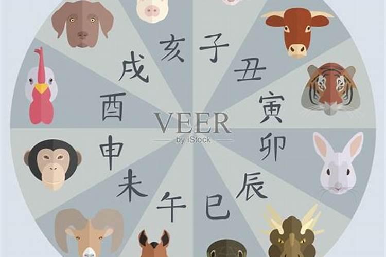 最近什么生肖运势如何？