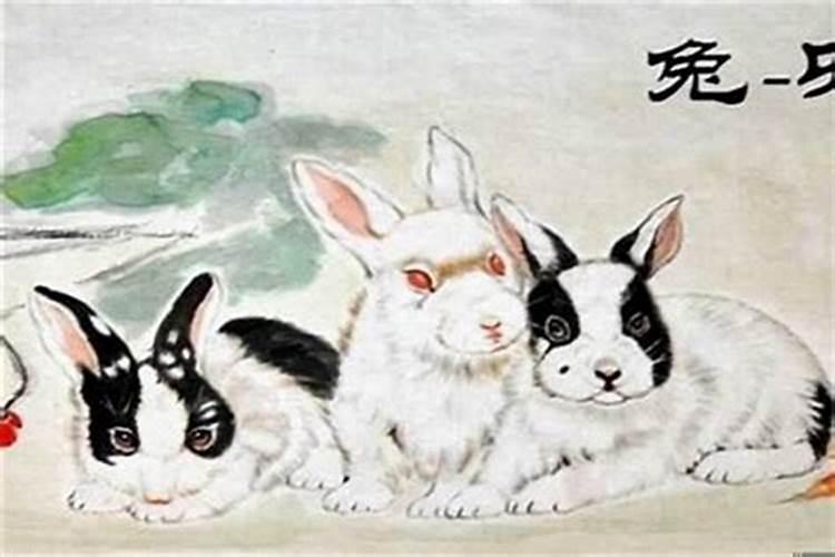 兔年太岁冲什么生肖？