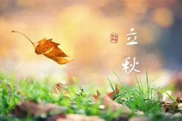立秋前一天出生属于夏天么？