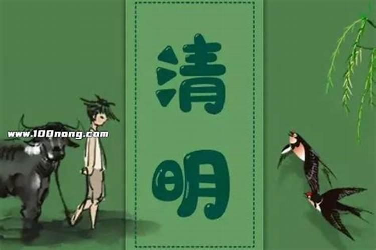 清明节还有哪些别称？