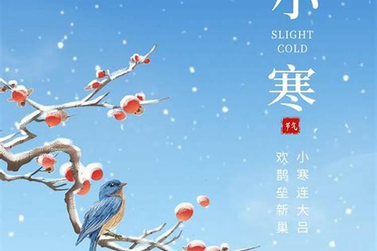腊月小寒出生