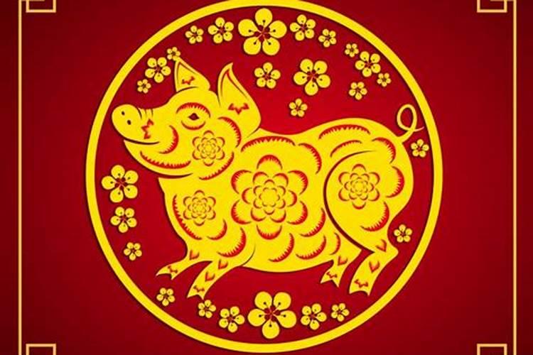 猪出生的人的运势如何？