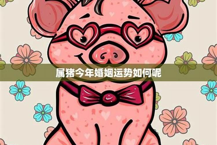 属猪今年婚姻不顺