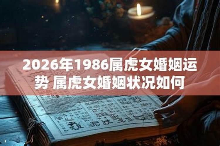1986今年2026运势如何？
