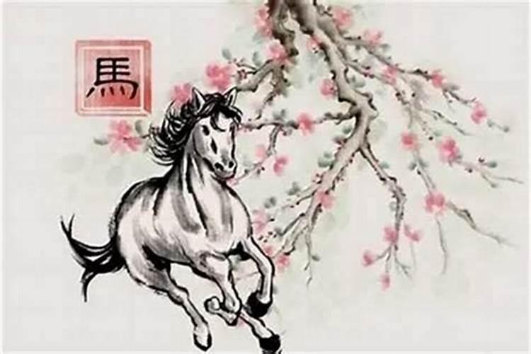 蜀黍和蜀马的合婚吗？