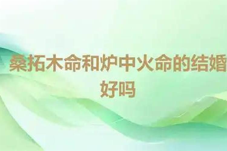 炉中火桑松木合婚吗？
