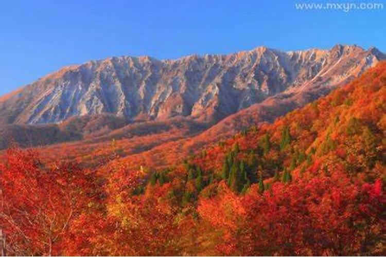 梦到大山是什么意思？