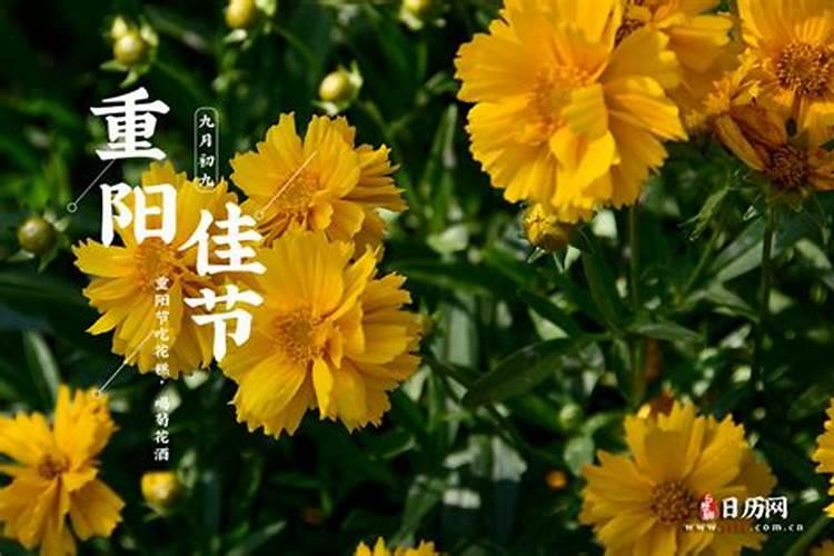 重阳节是几号的？