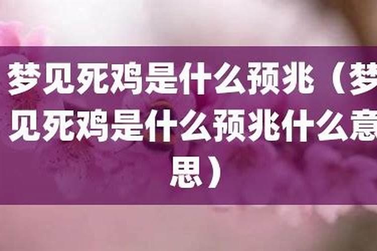 女人梦见死鸡什么预兆？