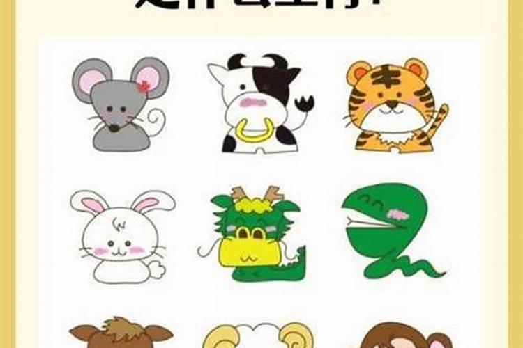 属猪的男的和属蛇的女人八字合不合