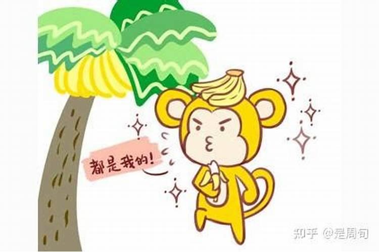 看属猴的一生的运程