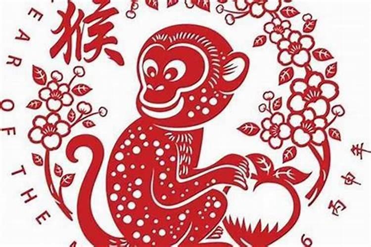 和猴最配的属相是什么生肖？