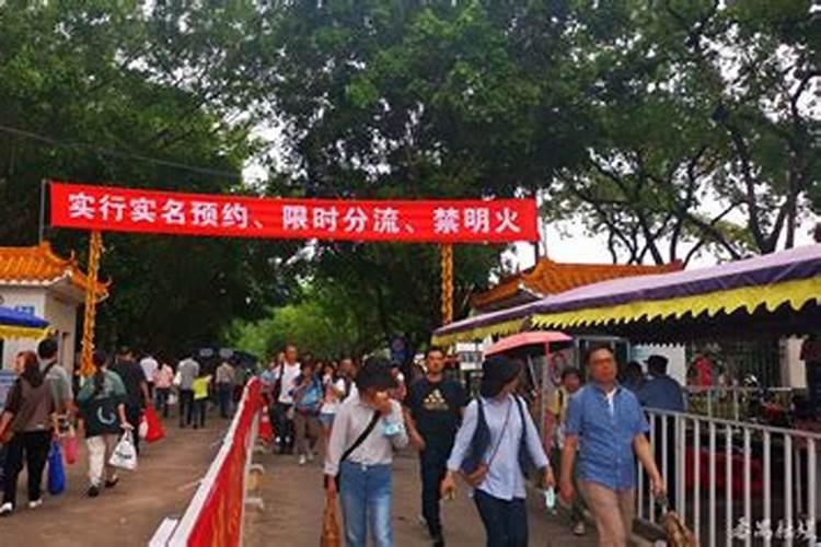 番禺清明祭扫