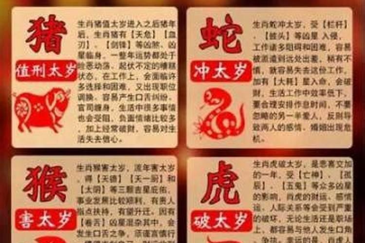 今年属蛇犯太岁吗女人？