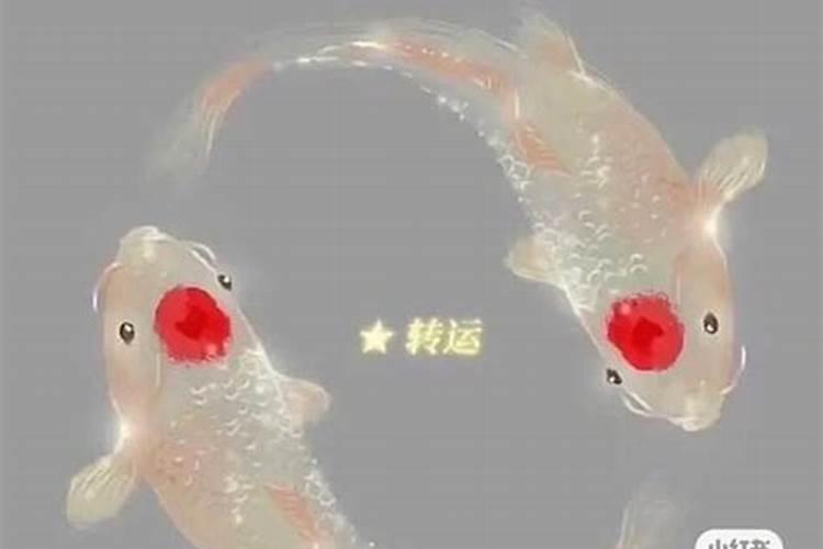 运气差不顺怎么解决？