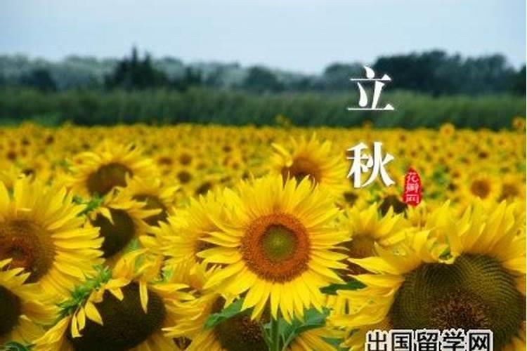 2003年什么时候立秋的？