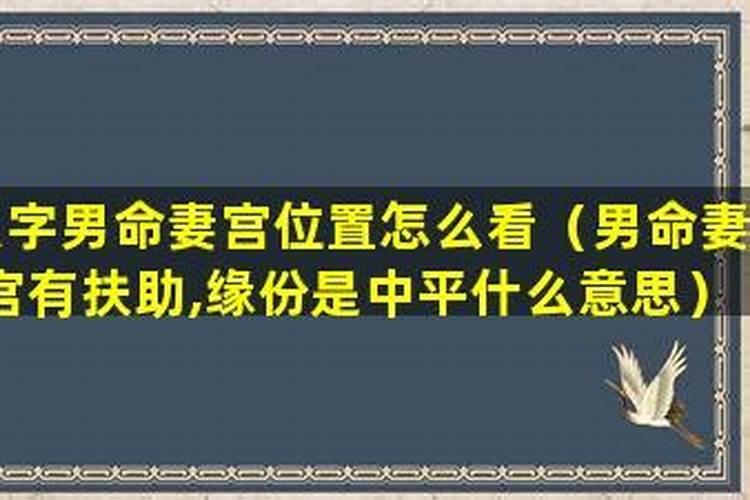 八字妻宫有合是什么象？