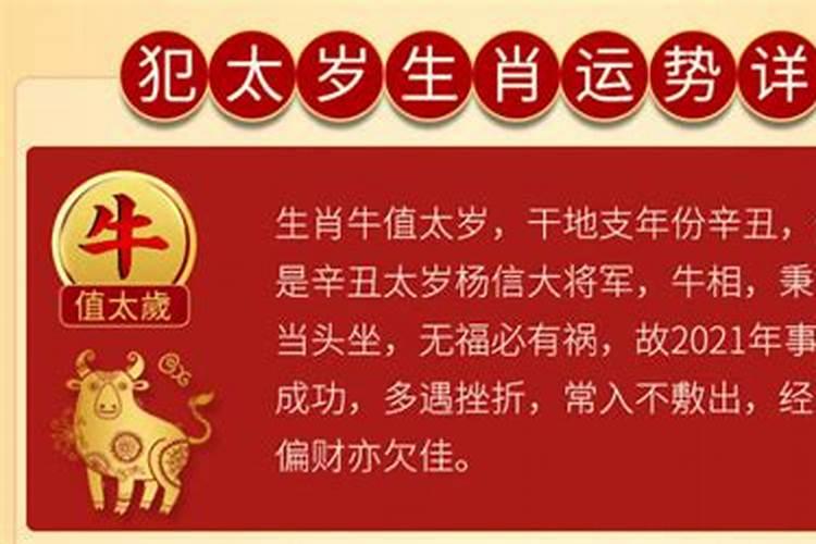牛年本命年结束语