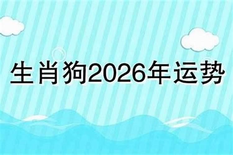 2026年12月份狗的运势如何？