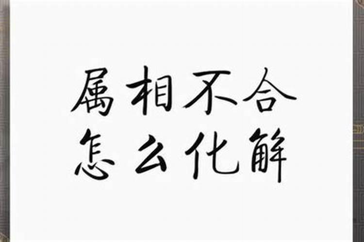 两个人在一起八字不合会怎么样？