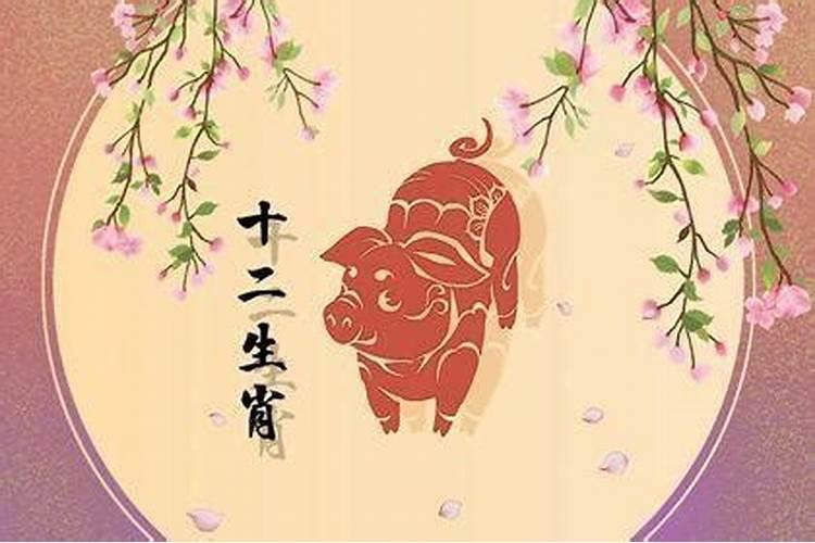 运势红黑是指什么生肖？