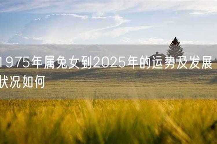1975年属兔女运势如何？
