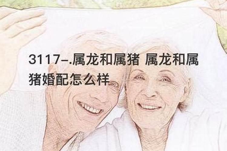 女属猪男属龙合婚吗？