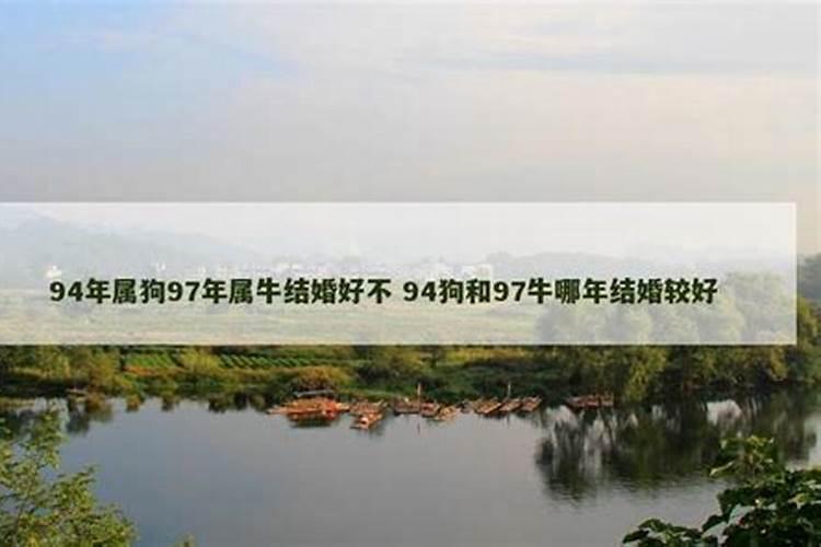 94狗97牛合婚吗？
