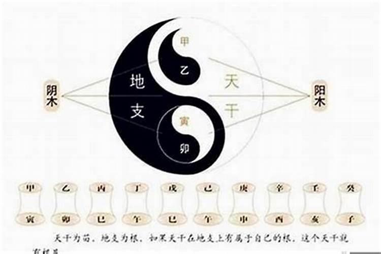 八字基本信息是什么意思啊？