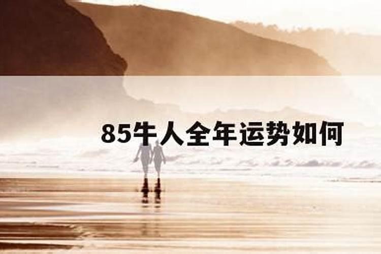 85牛人全年运势如何？