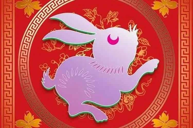 属兔人今年桃花运程