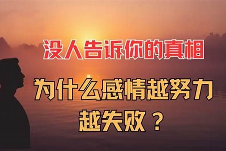 为什么美女婚姻不顺？