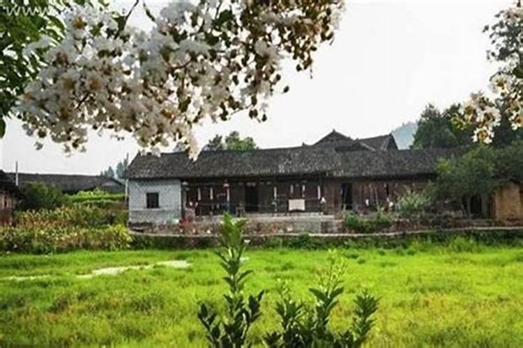 梦见老家的老房子有人住了