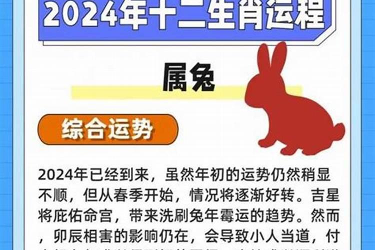 2026年属兔人下半年运势女性