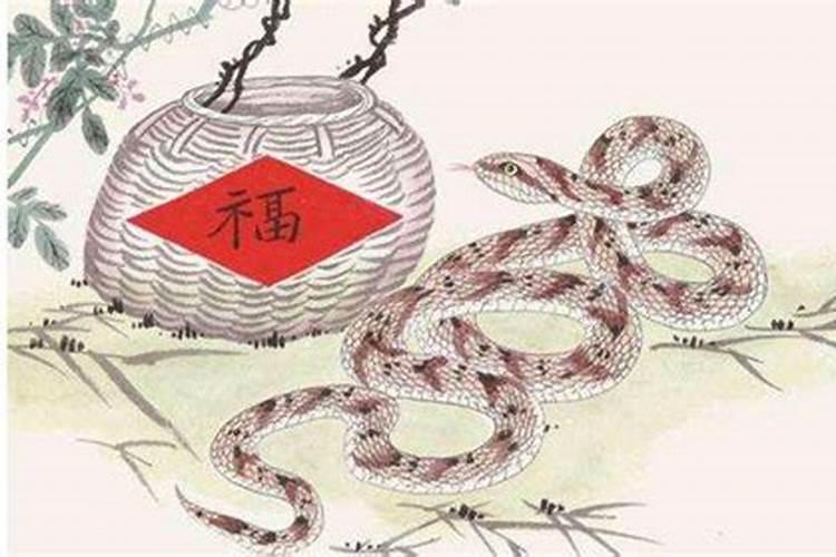 属蛇的今年冲太岁怎么办？