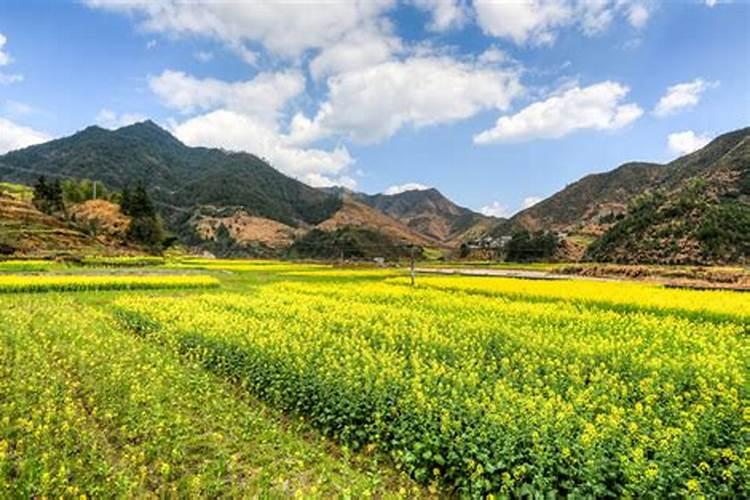温州清明节去哪里玩比较好？