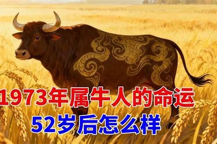 属牛1973出生运势如何？