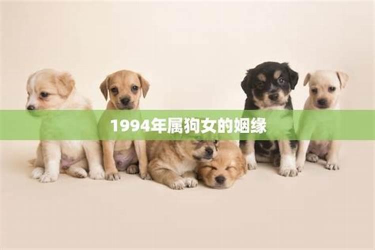 1994年属狗和狗合婚吗？