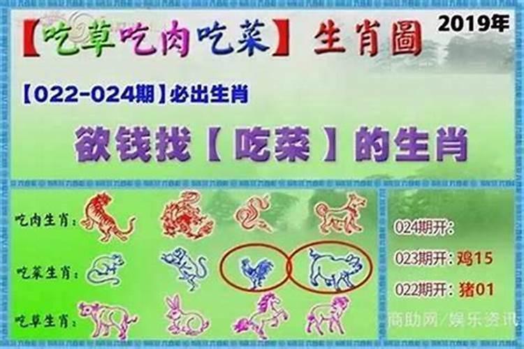 今期开羊下期开什么生肖？