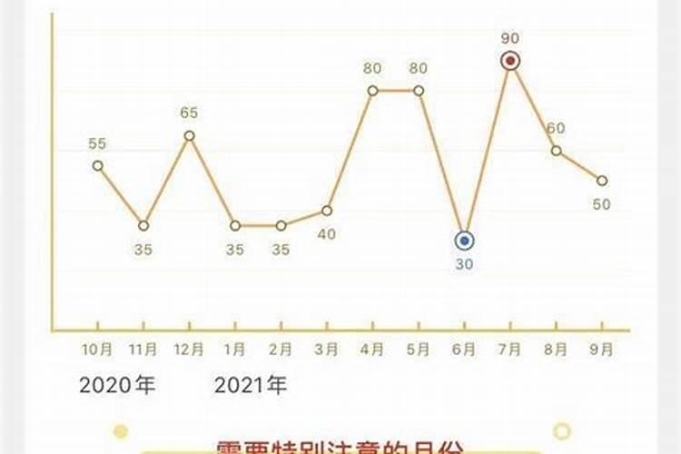 生命灵数都解析什么运势？