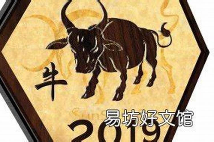 1985年属牛是什么命？