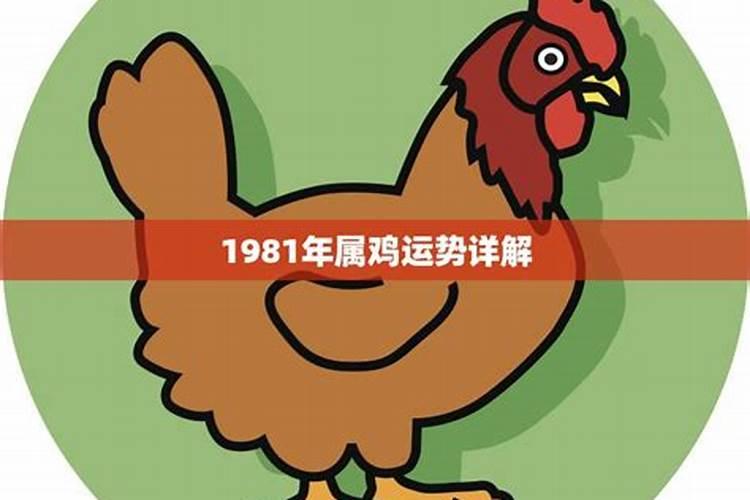 1981年属鸡在2026年的运势如何？
