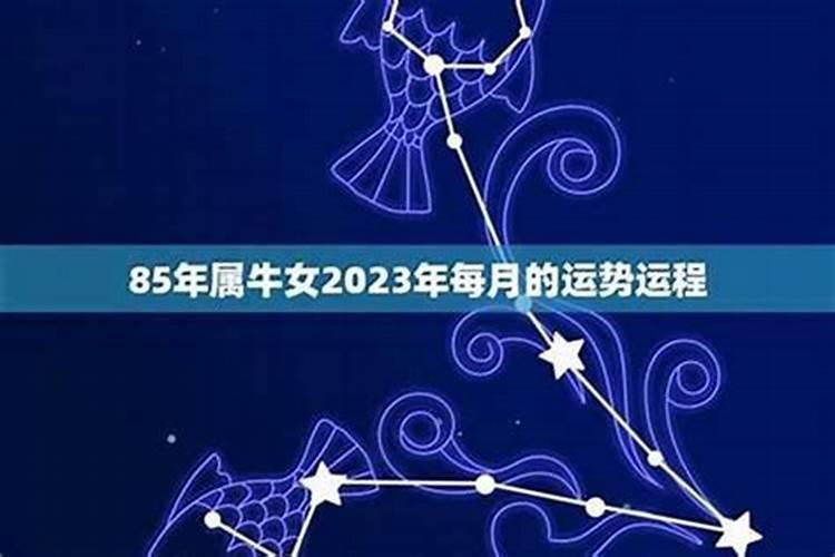 1980年今年8月的运程