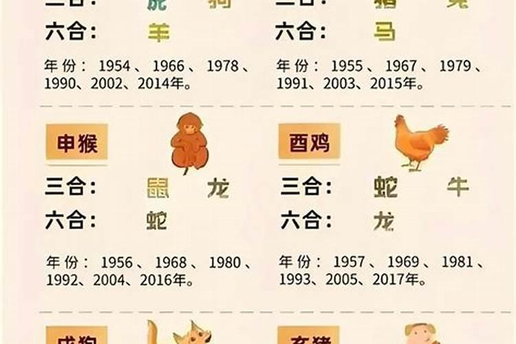 生肖的相刑相害如何化解运势？