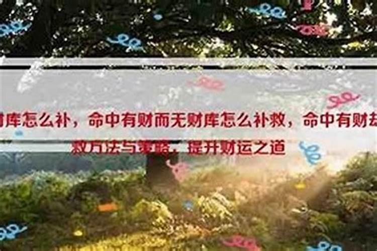 怎样查命中有无财库？